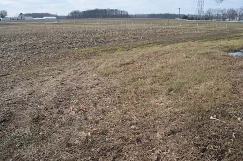 Property photo 56 - 98+/- Acres Offered in 6 Tracts or Combinations, Noble County, Indiana Farm
